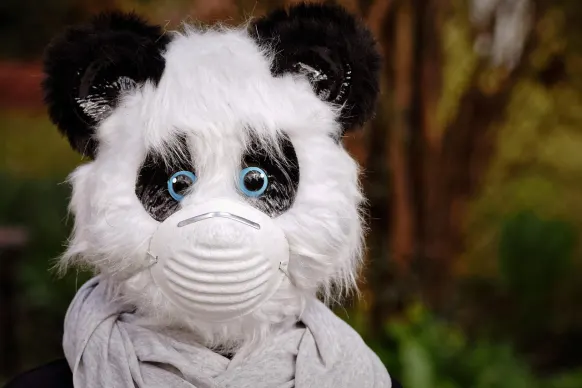 Stay Casino Ënnerstëtzung